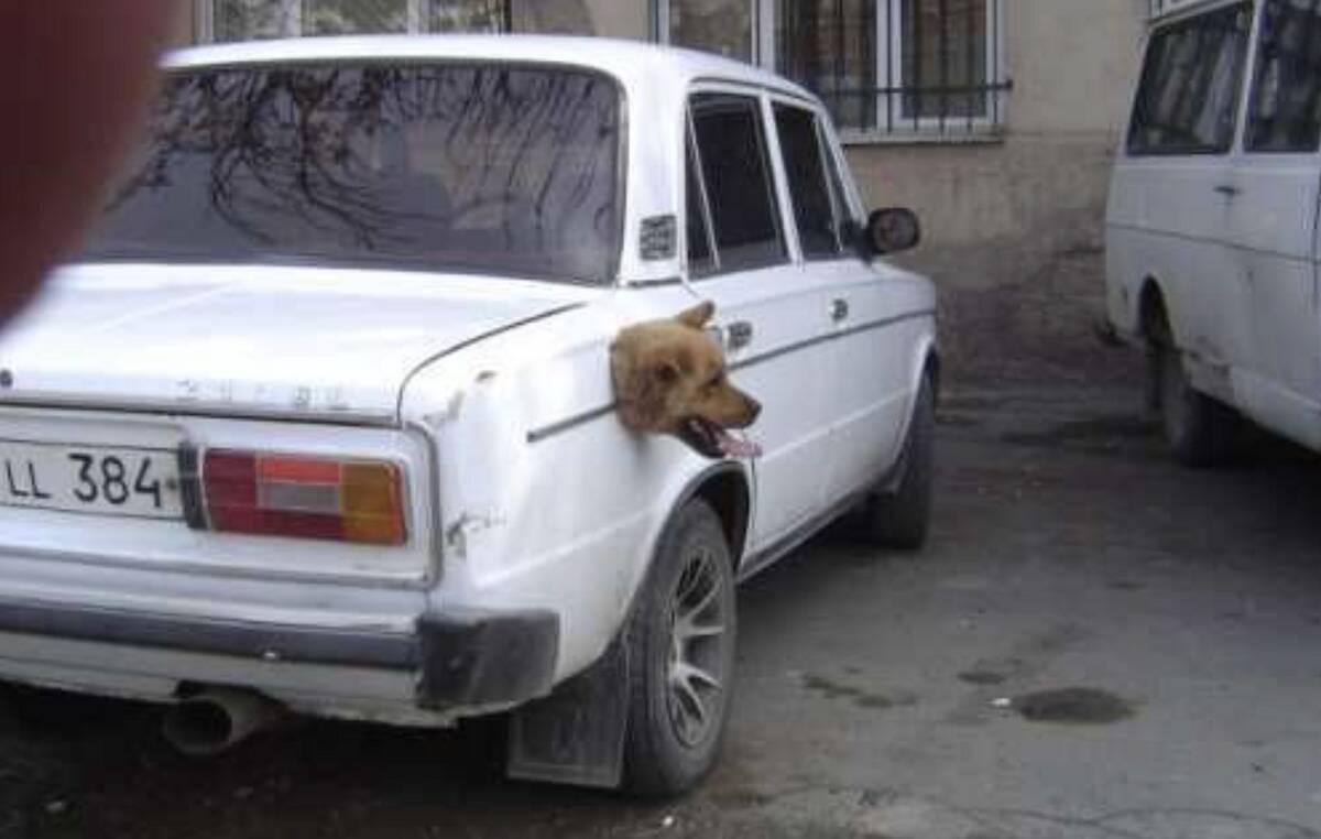 Screen Shot 2023-11-16 at 1.20.07 PM