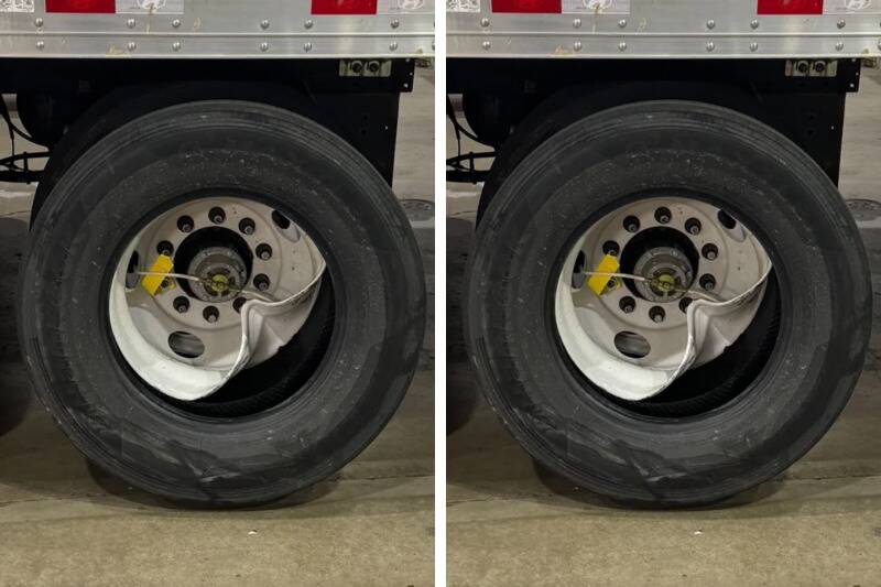 Untitled design (88)