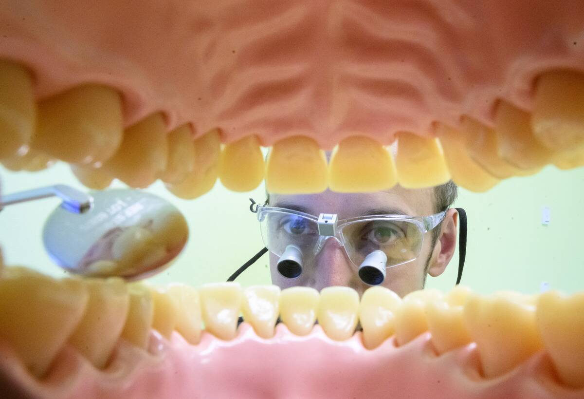 Illustration - Dental care in Lower Saxony
