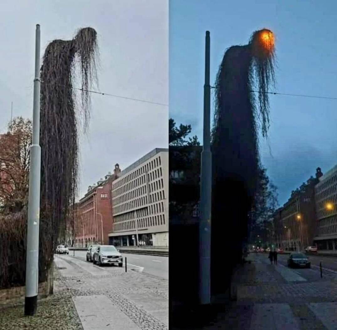 lamp