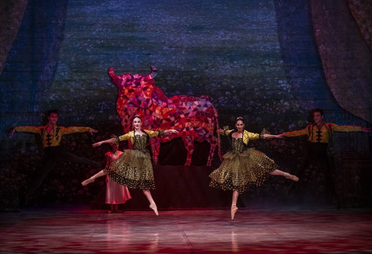Rehearsal of ''Nutcracker'' ballet performance in Ankara