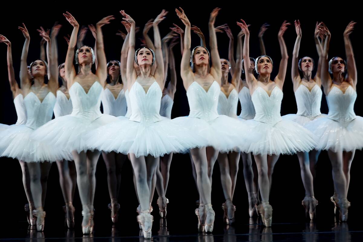 Swan Lake Media Call