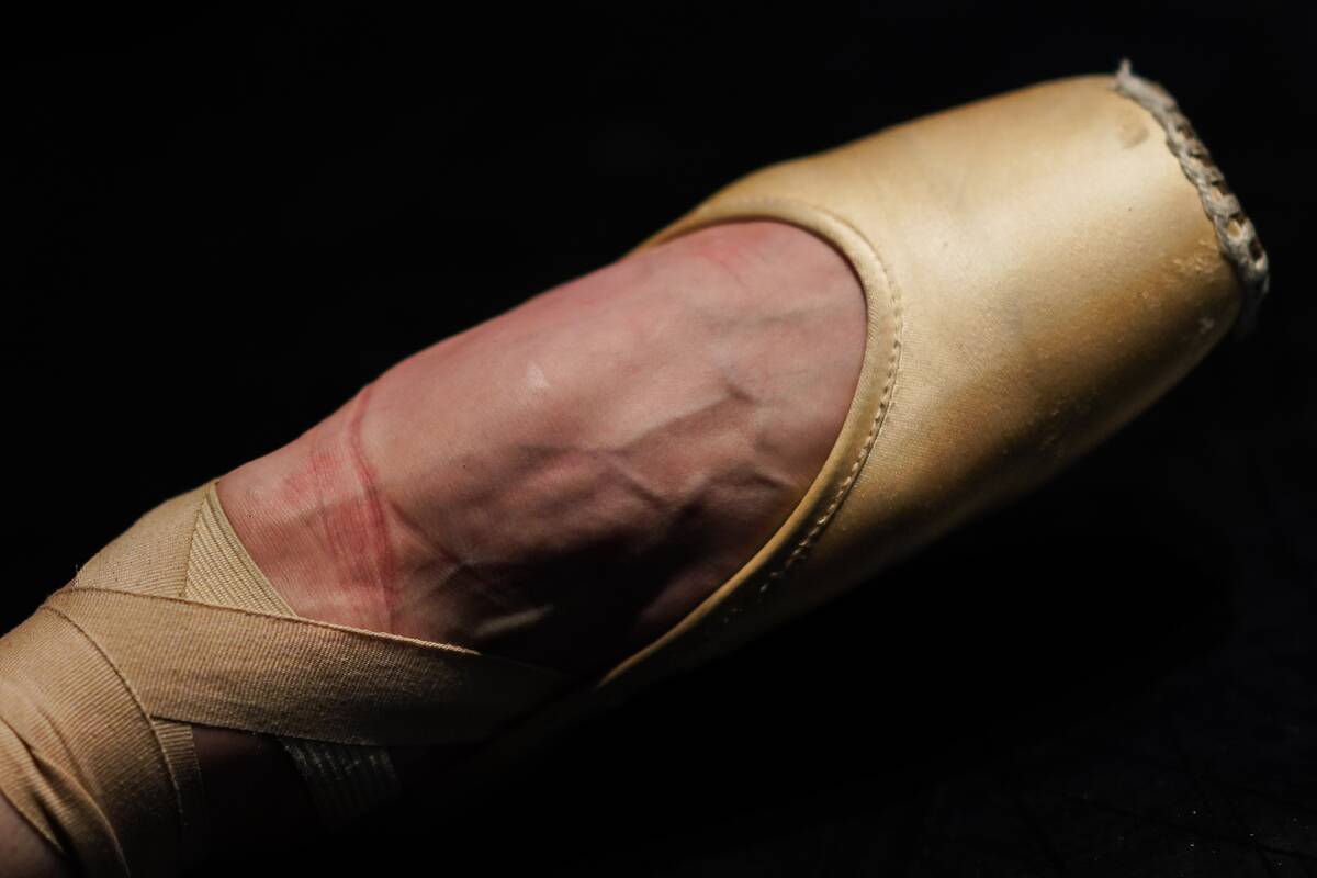 Ukraine's Kyiv City Ballet Hold Gala Performance at York Theatre Royal