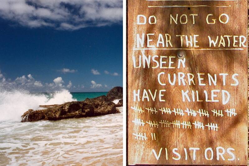 Untitled design (99)