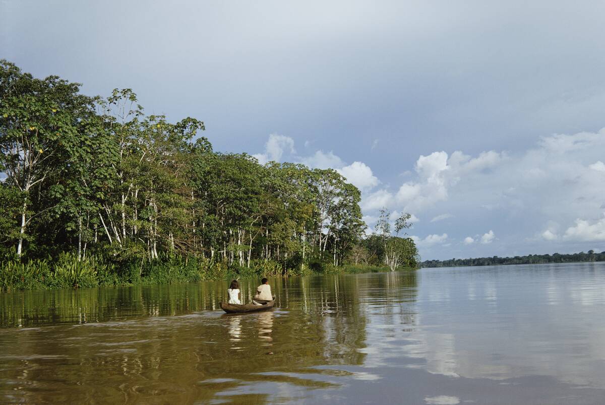 Amazon River
