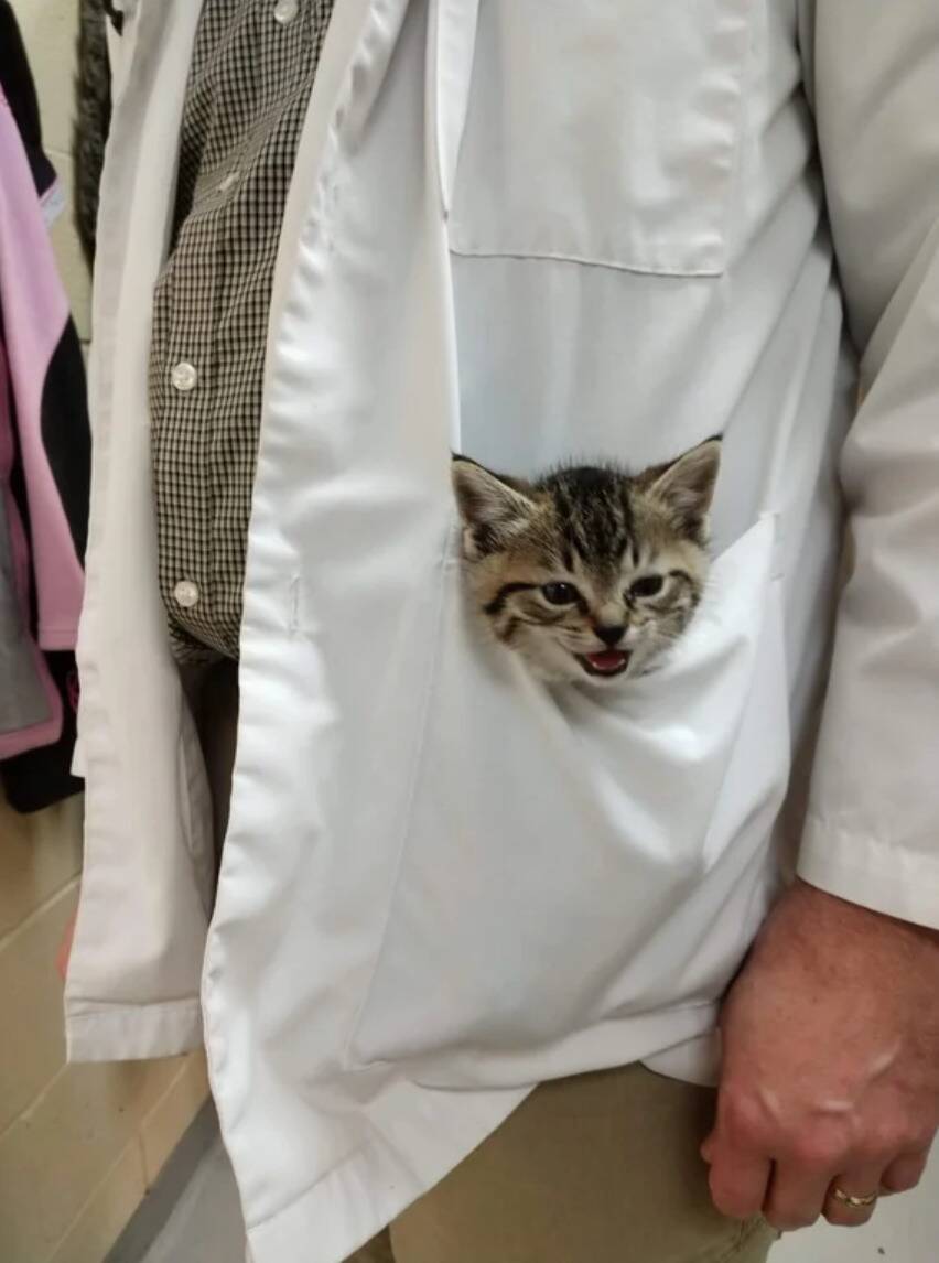 coat