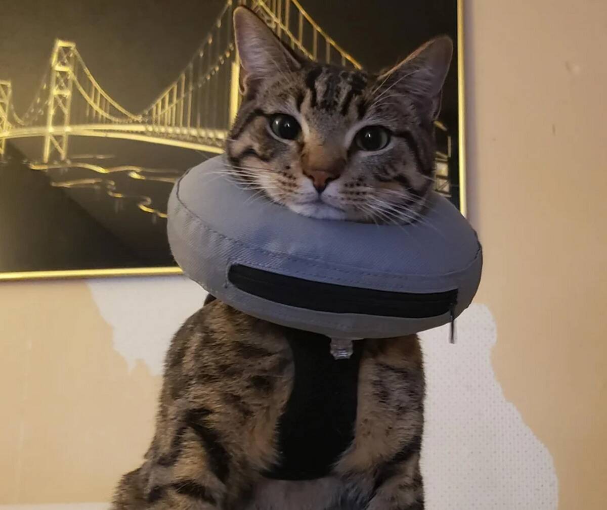 cone