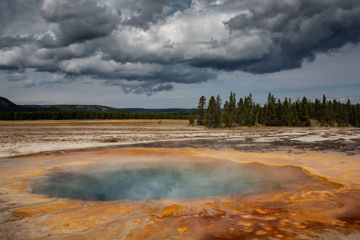 Exploring Yellowstone National Park