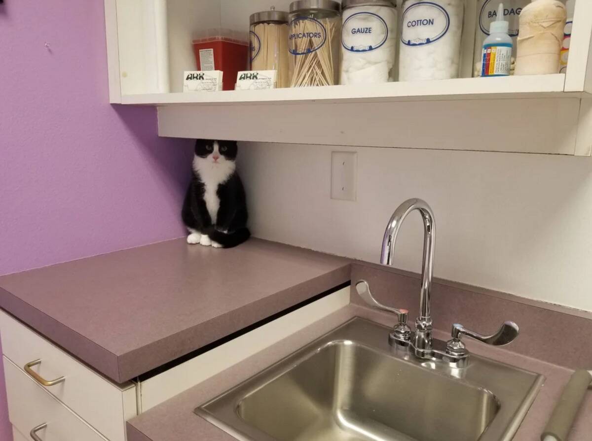 pablo