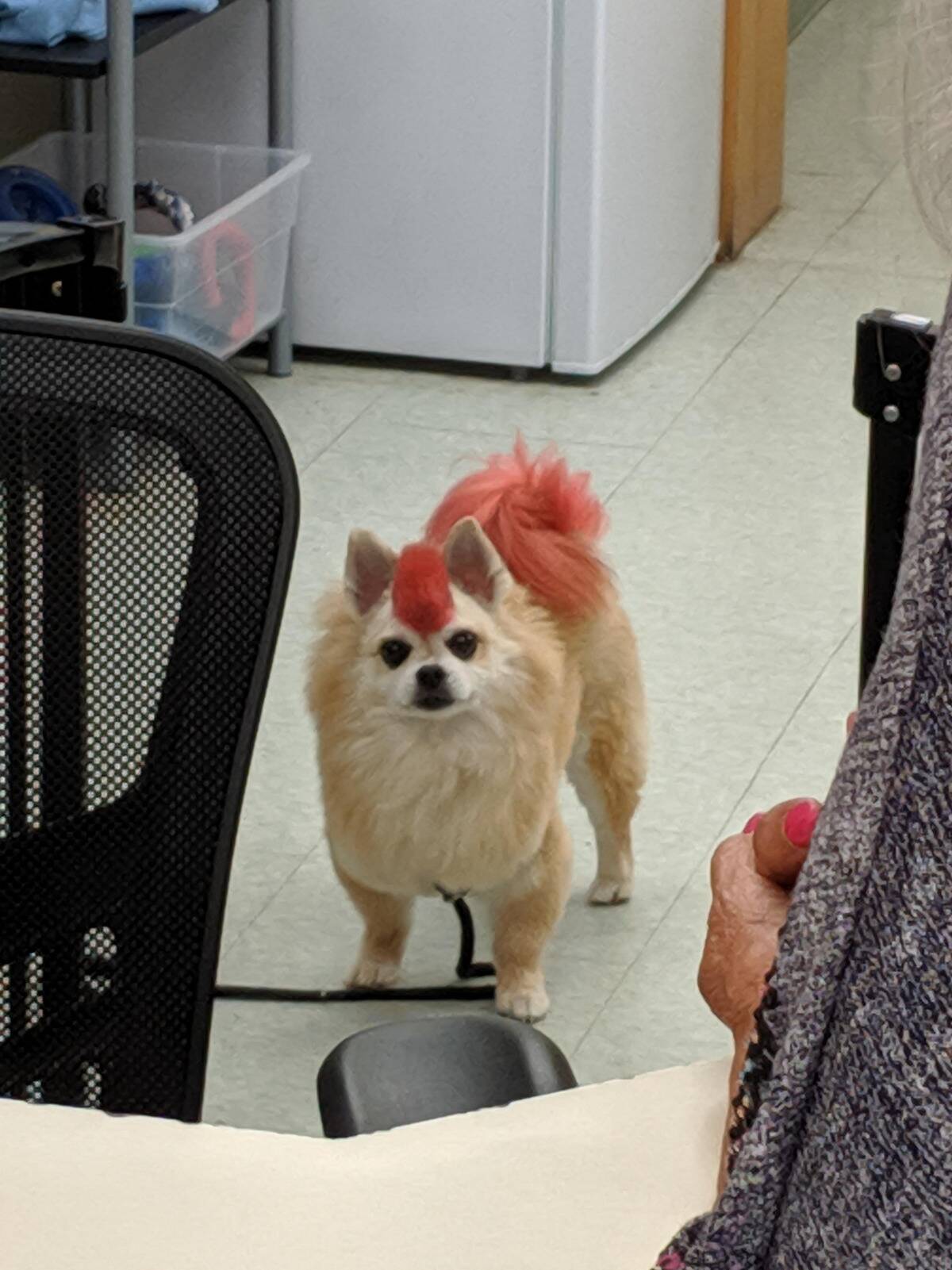 punk