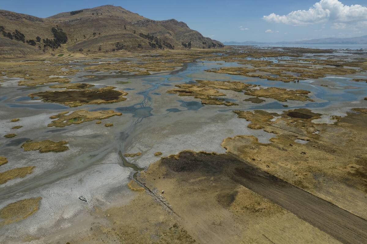 Titicaca Lake Dries Out as Bolivia Suffers Record Winter Heat