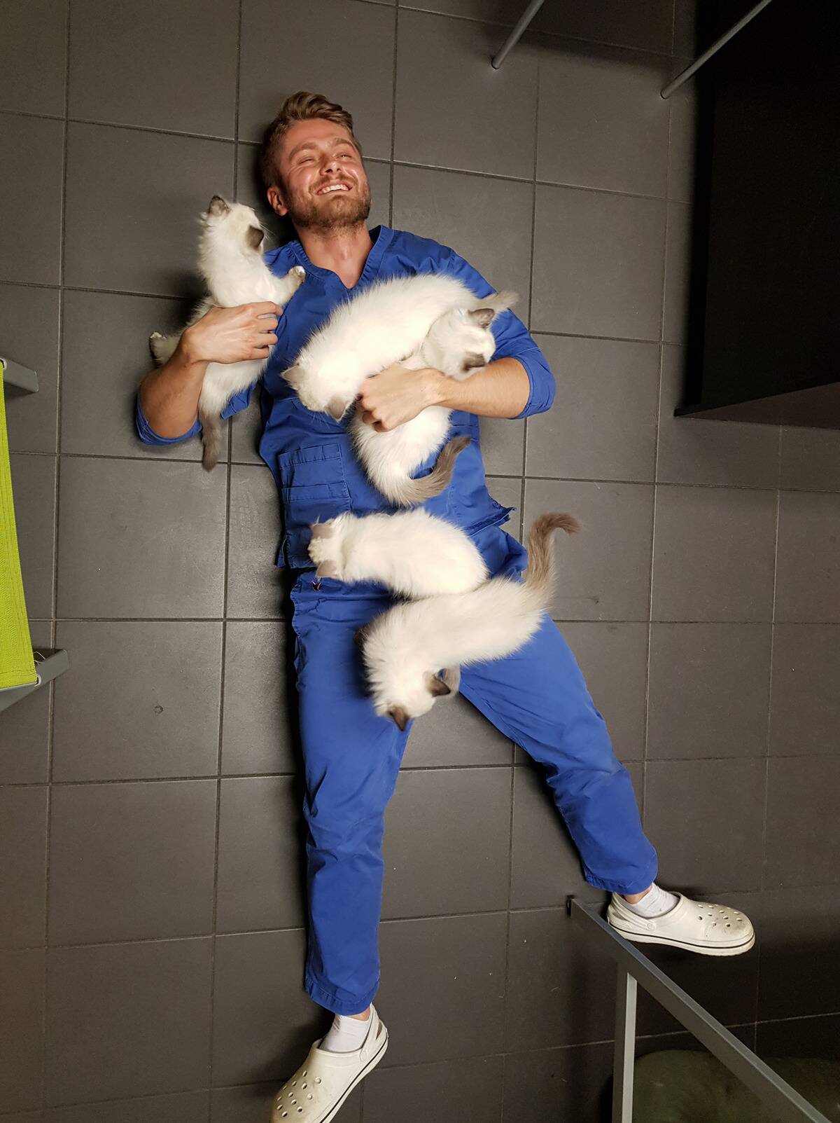 vet