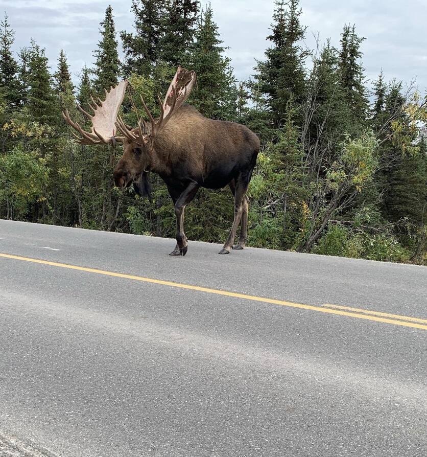 Screen Shot 2024-01-11 at 2.10.33 PM