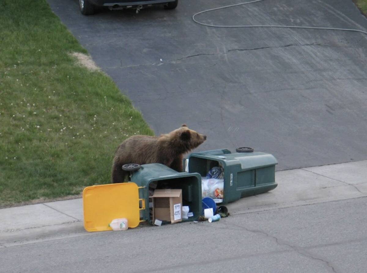 Screen Shot 2024-01-11 at 2.14.32 PM