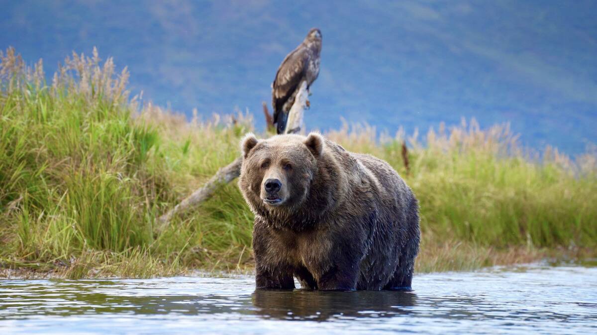 Screen Shot 2024-01-11 at 4.32.44 PM