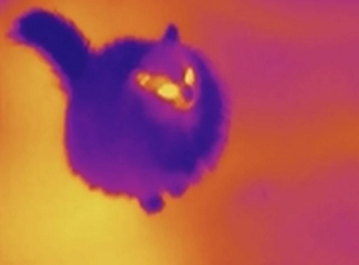 Screen Shot 2024-01-16 at 11.40.39 AM