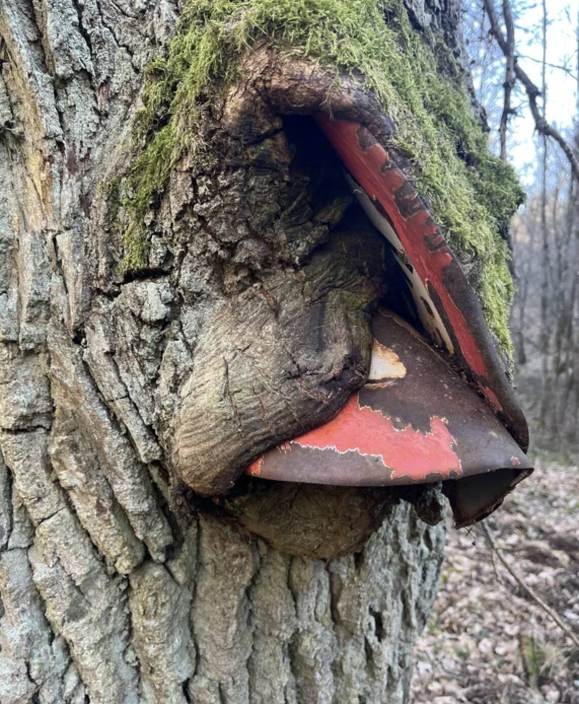 Screen Shot 2024-01-16 at 3.39.51 PM