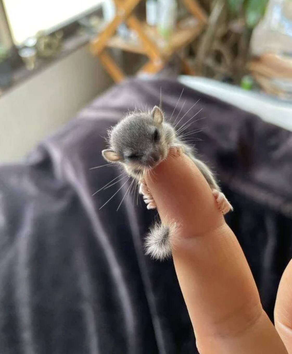 Screen Shot 2024-01-16 at 9.56.09 AM