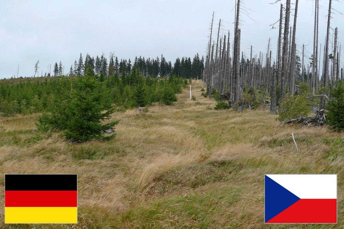 germany-czech