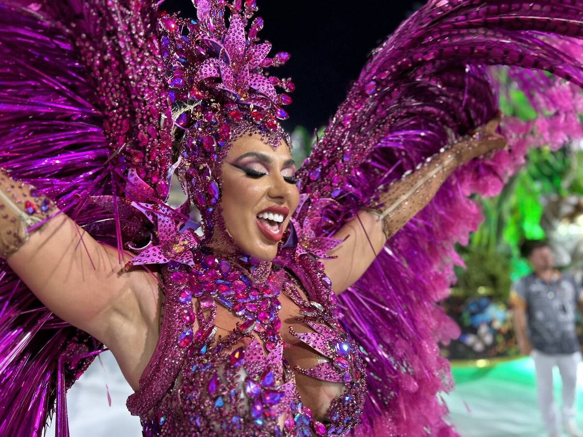 Carnival in Rio - Carnival parade in the Sambodrome