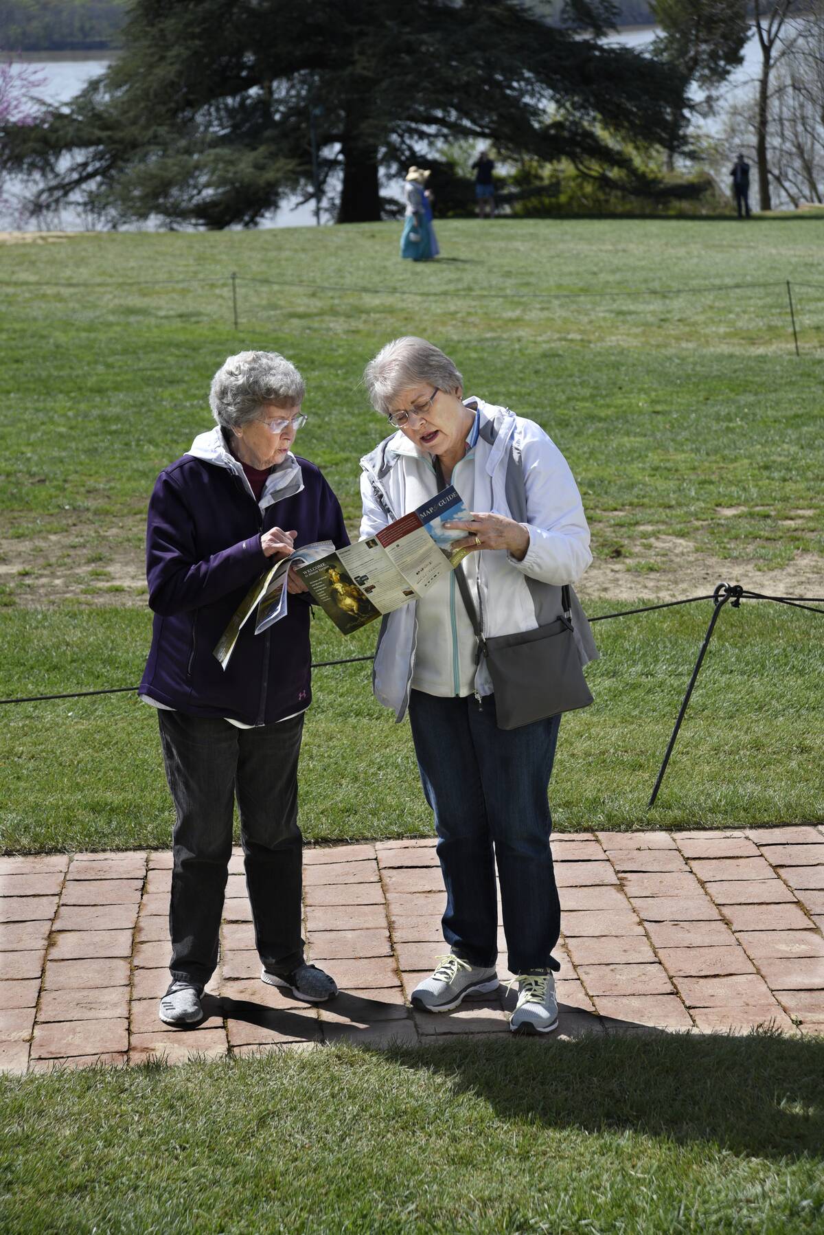 Mount Vernon Scenics