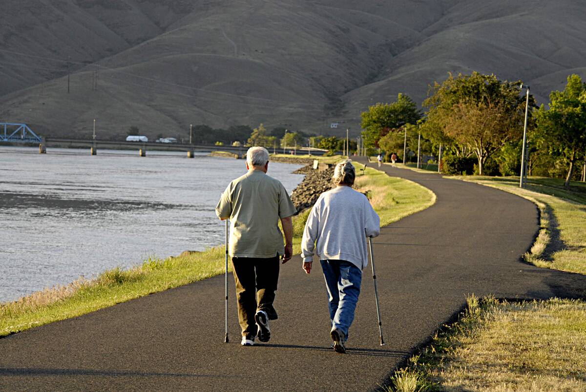 Peolle and Canyon bridge and blue bridge over snake river