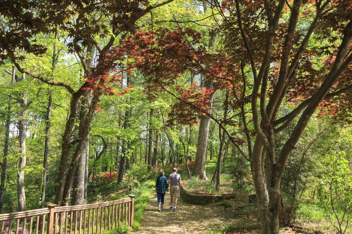 South Carolina Botanical Garden, Clemson, South Carolina