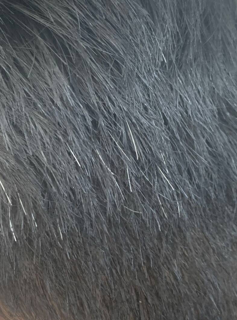 Screenshot 2024-02-29 at 3.05.22 PM