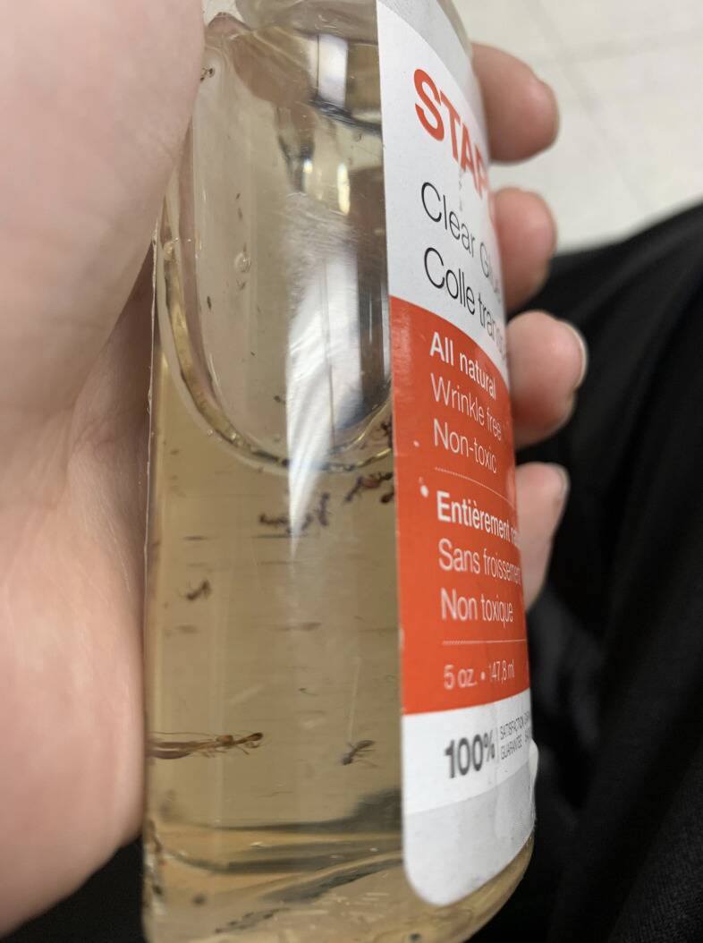 Screenshot 2024-02-29 at 3.24.40 PM