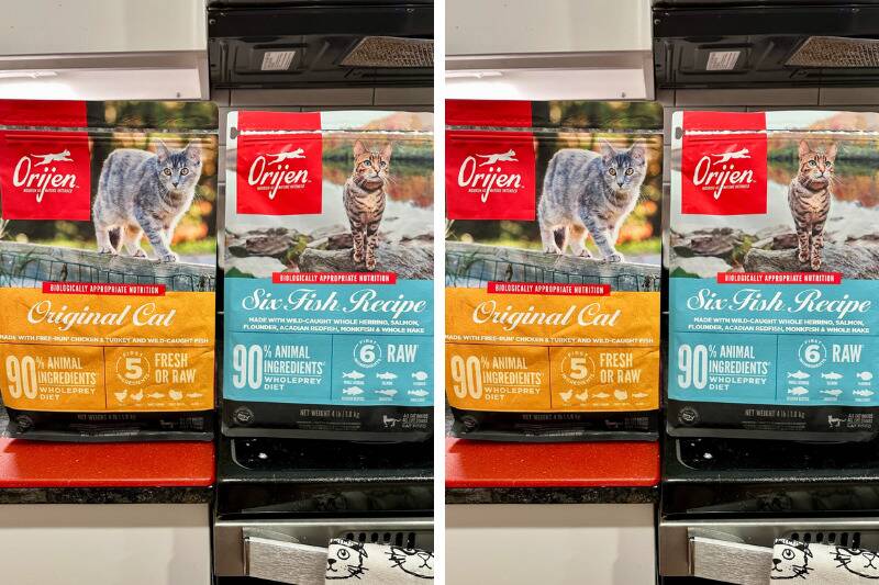 Untitled design (27)