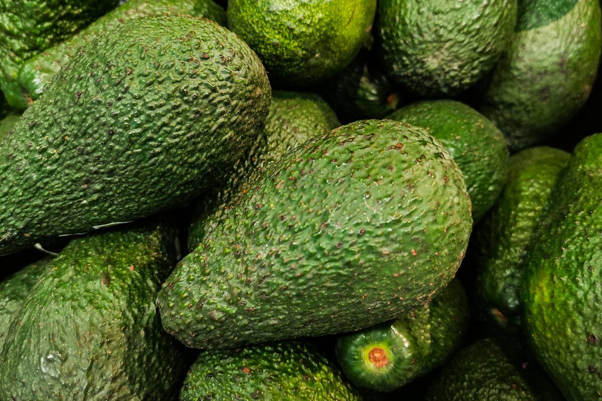 Economy And Business In Poland