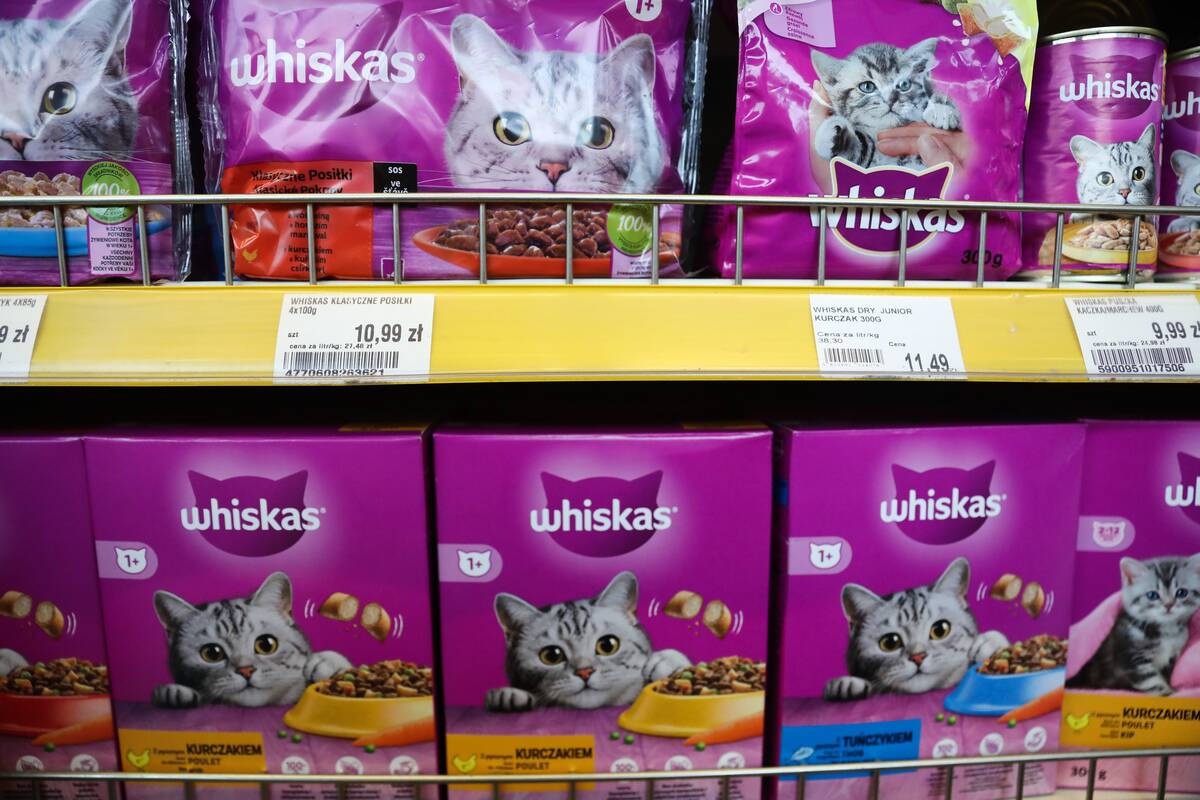 Grocery Stores In Poland