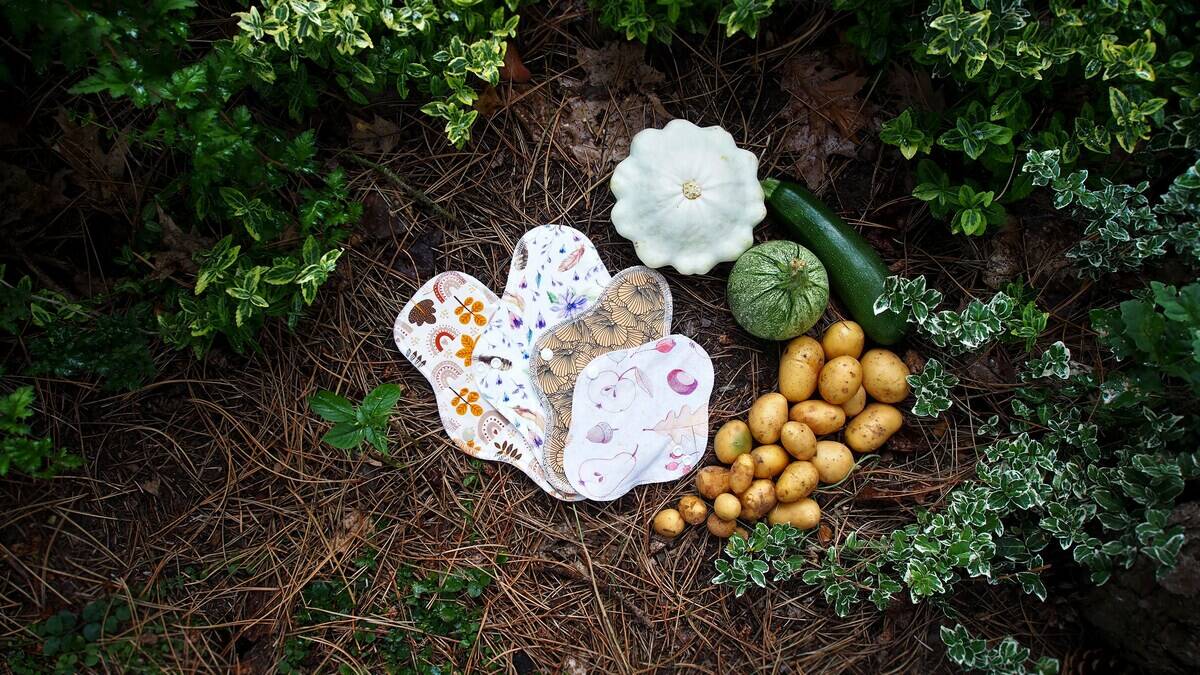 sarka-hykova-Ez0-E2DazDI-unsplash