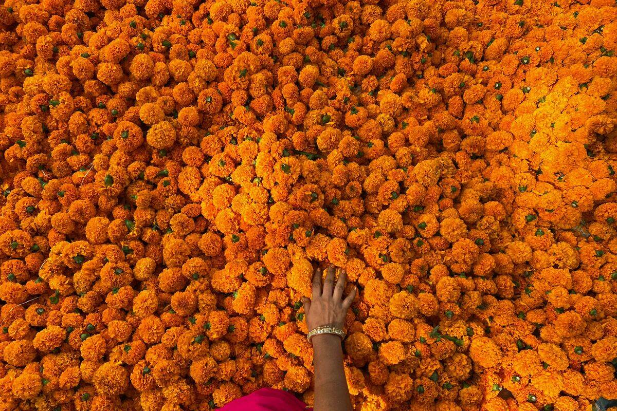 TOPSHOT-INDIA-RELIGION-HINDUISM-FESTIVAL