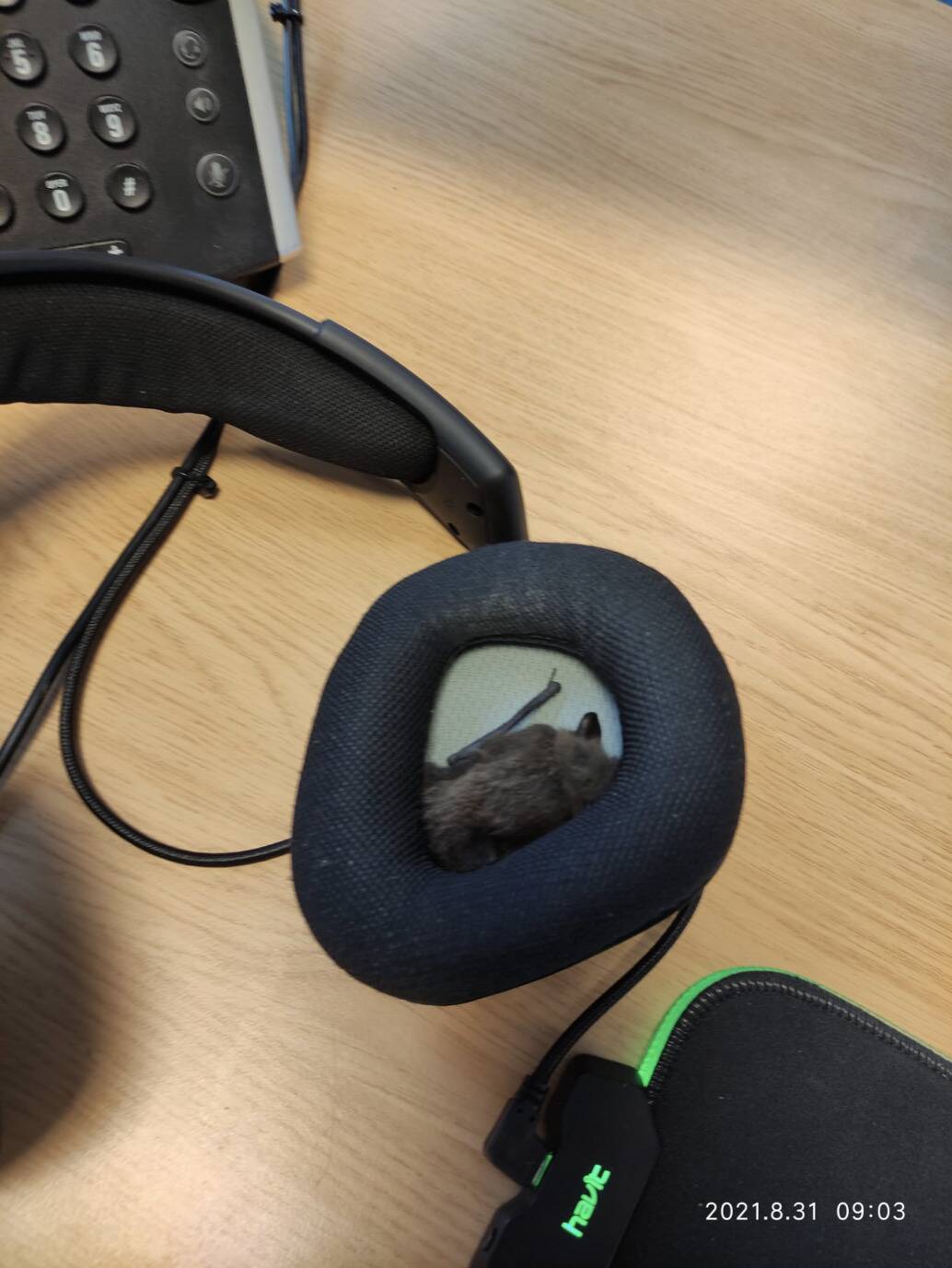 Screenshot 2024-04-23 at 2.35.18 PM