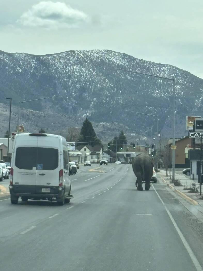 Screenshot 2024-04-23 at 3.14.38 PM