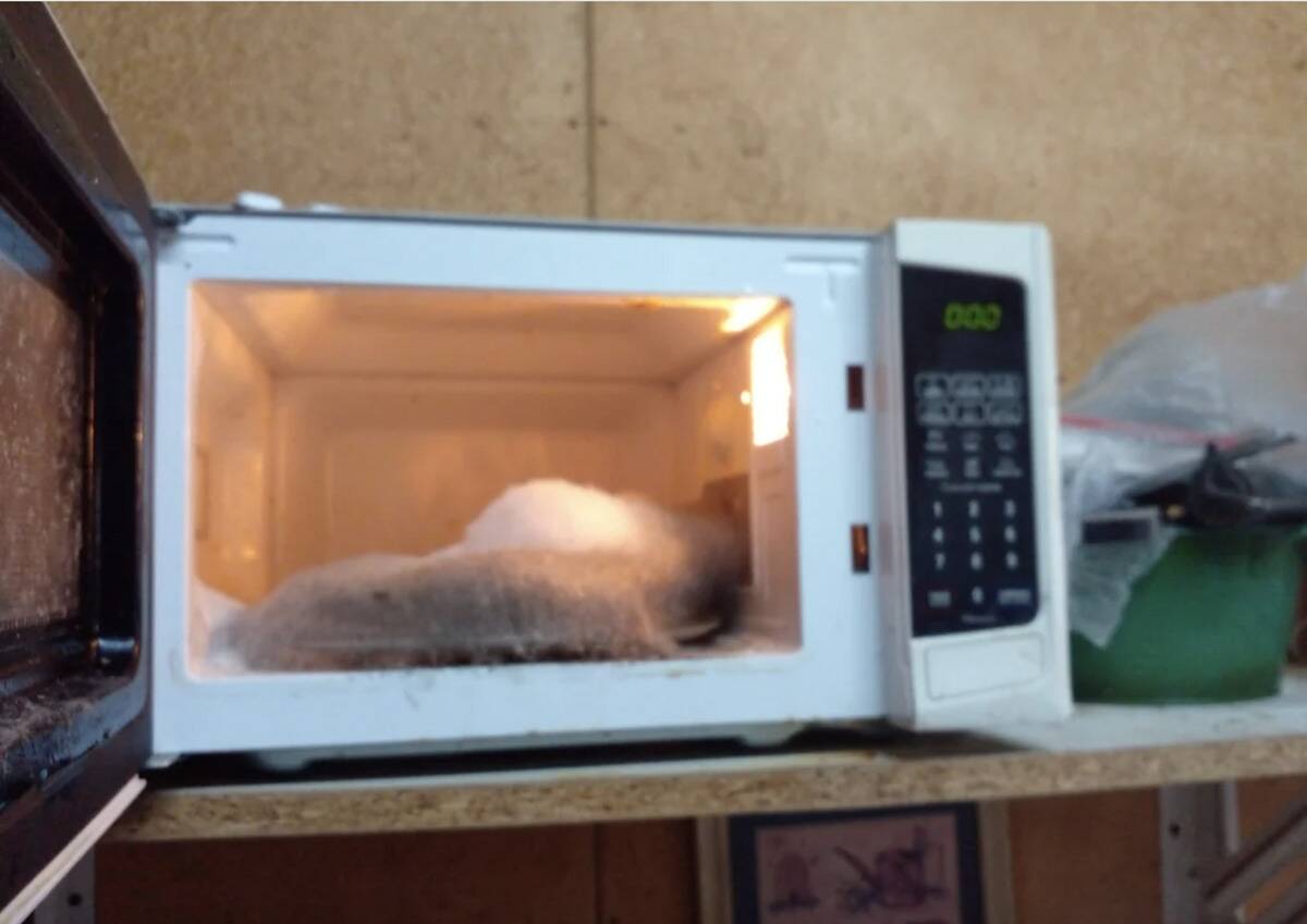 Screenshot 2024-04-23 at 4.12.33 PM