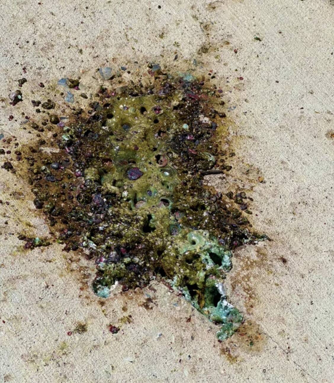 Screenshot 2024-04-25 at 2.03.24 PM