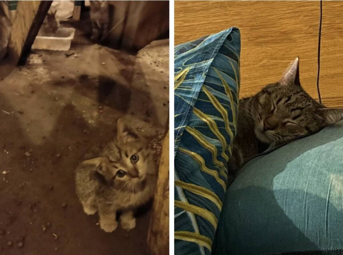 Screenshot 2024-04-30 at 10.30.19 AM