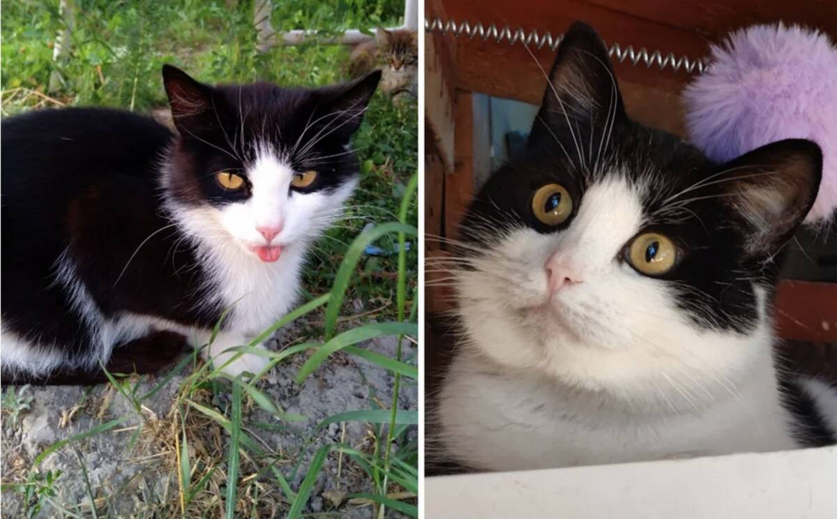 Screenshot 2024-04-30 at 10.33.43 AM