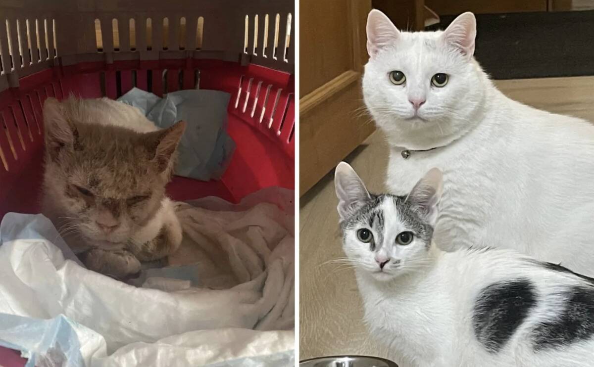 Screenshot 2024-04-30 at 9.14.11 AM