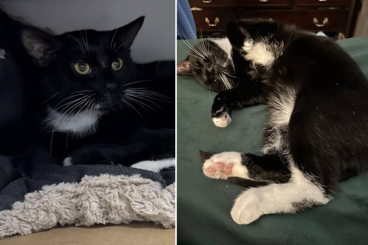 Screenshot 2024-04-30 at 9.35.02 AM