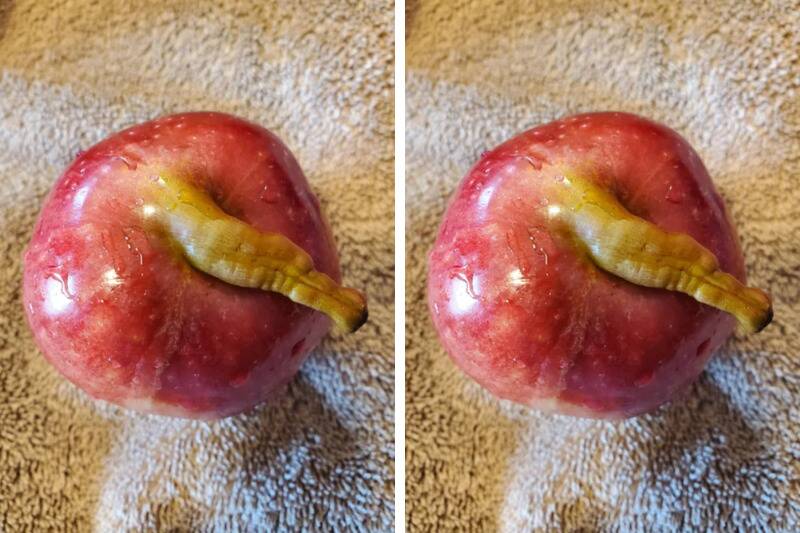 Untitled design - 2024-04-23T162552.416