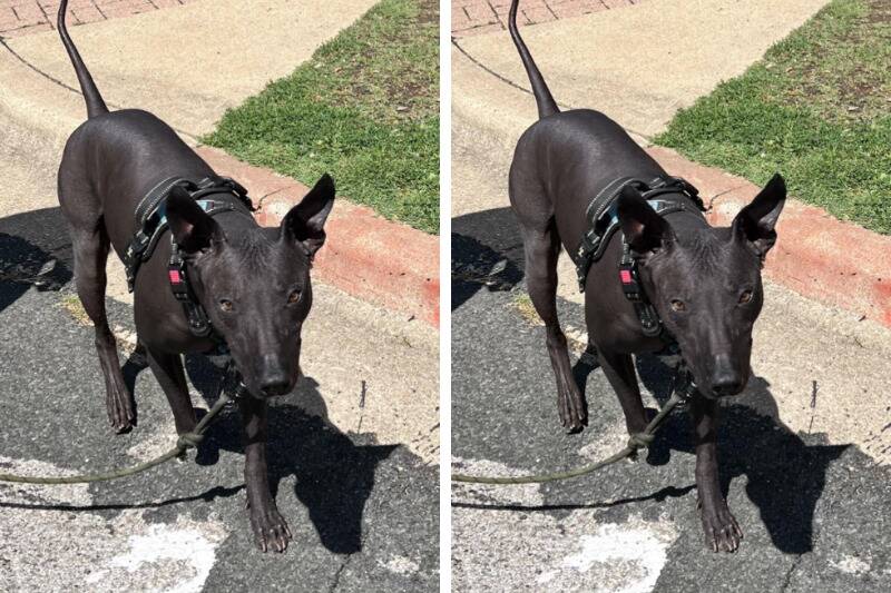 Untitled design - 2024-04-25T135850.298