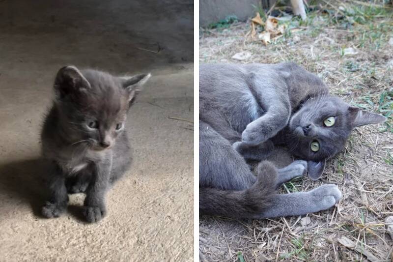 Untitled design - 2024-04-30T090705.260