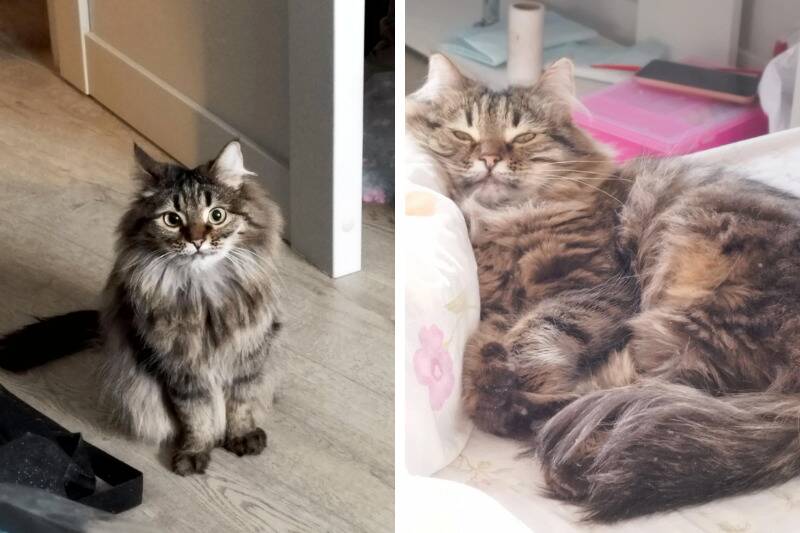 Untitled design - 2024-04-30T092725.614