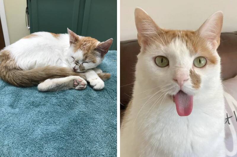 Untitled design - 2024-04-30T094434.333