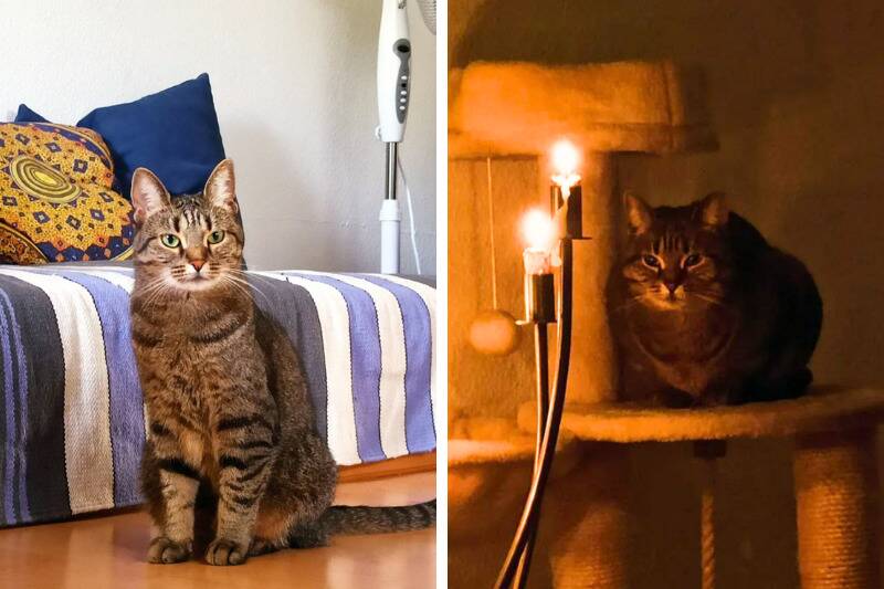 Untitled design - 2024-04-30T103232.747