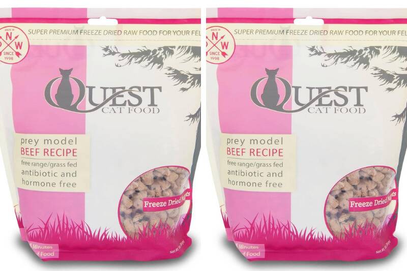 Untitled design (68)