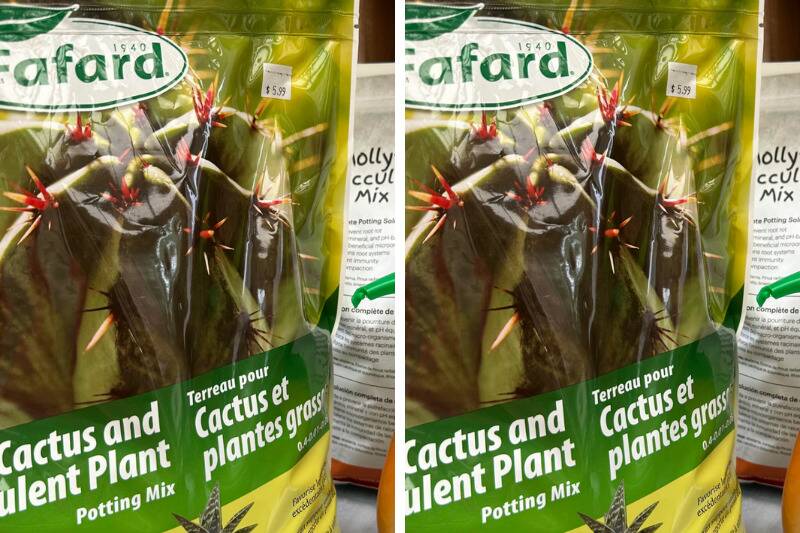 fafard2